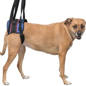 Walkin' Lift - Dog Lifting Mobility Harness - Rear